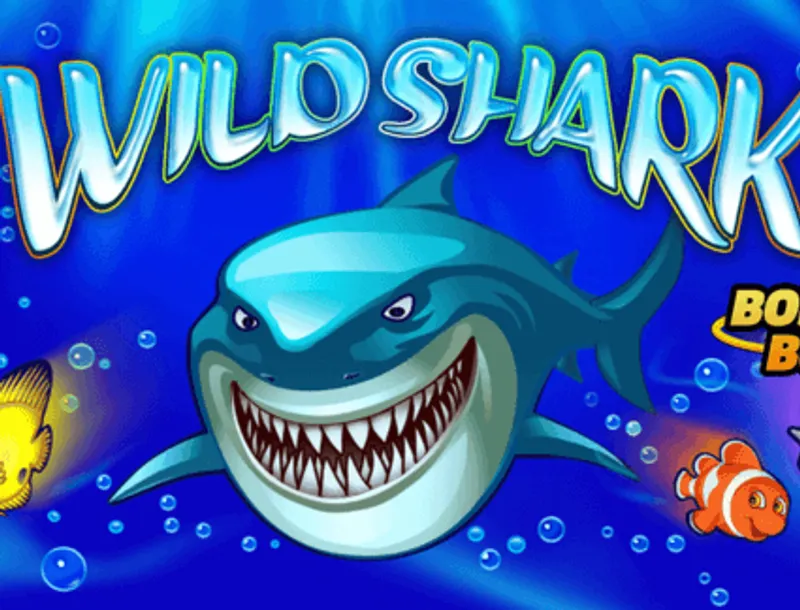 Wild Shark Bison Casino